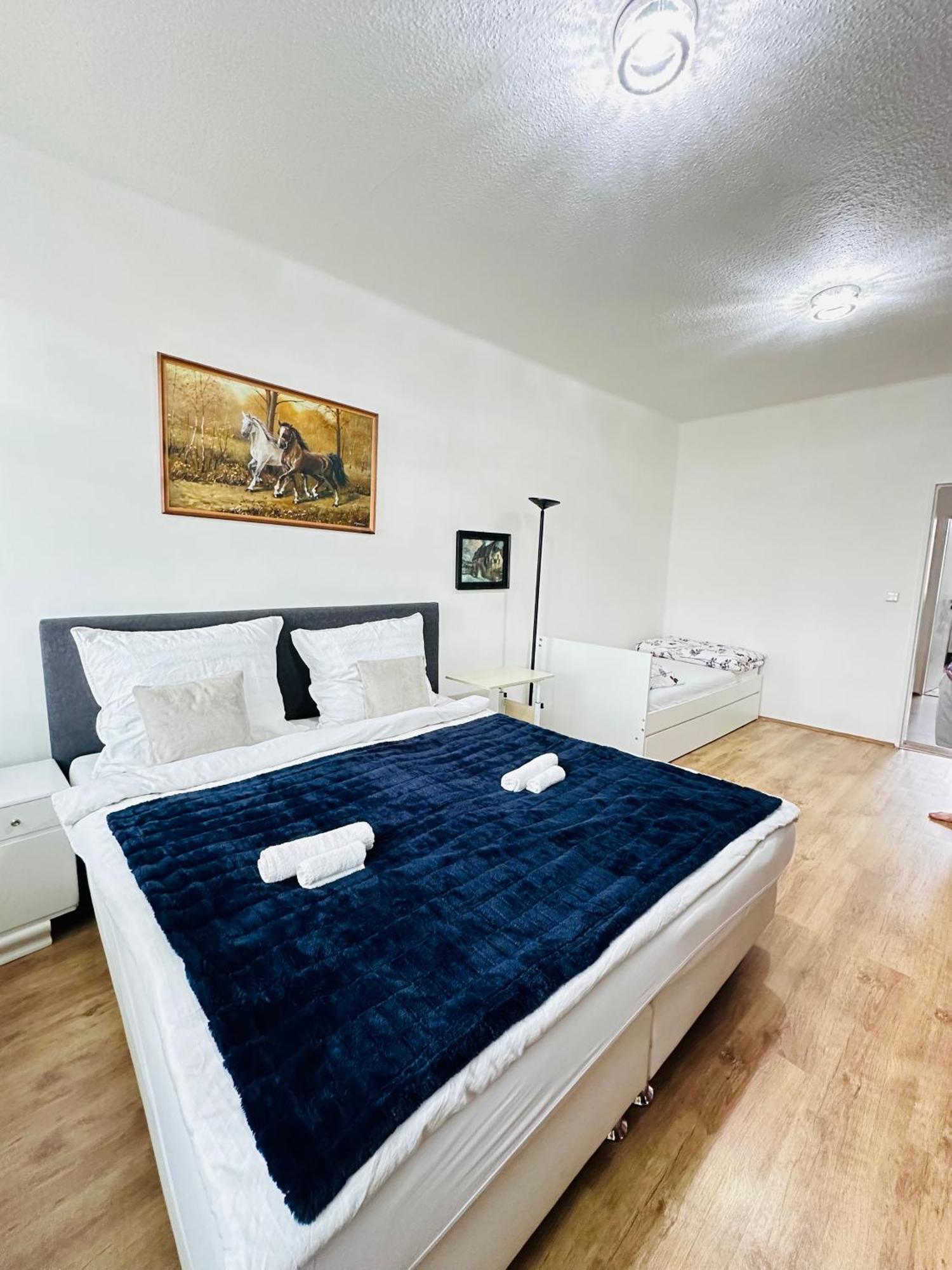 Kael Apartment Teplice Eksteriør billede